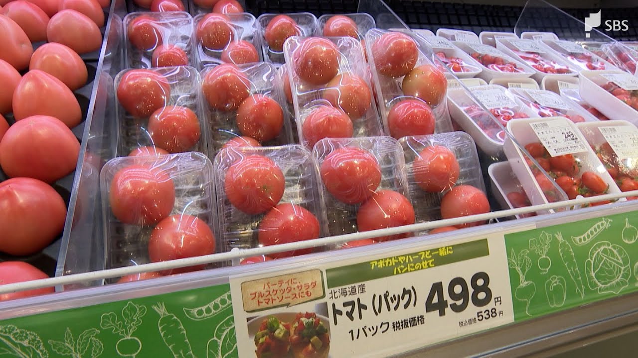 わずか2か月で450円値上がり…トマトが“経験したことない”高値に　異例の暑さで不良相次ぎ 生産者も「もう限界」