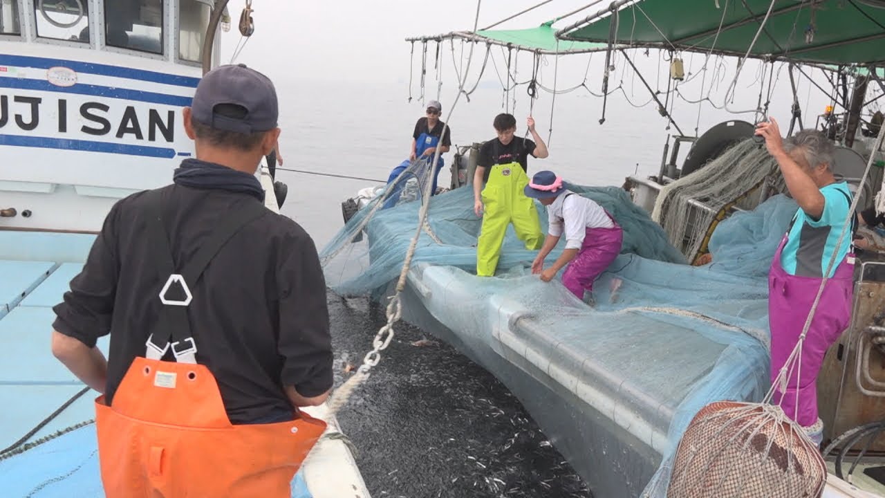 香川・伊吹島の「イリコ漁」　売り上げが過去30年で最高に　他のエリアで漁獲量減少