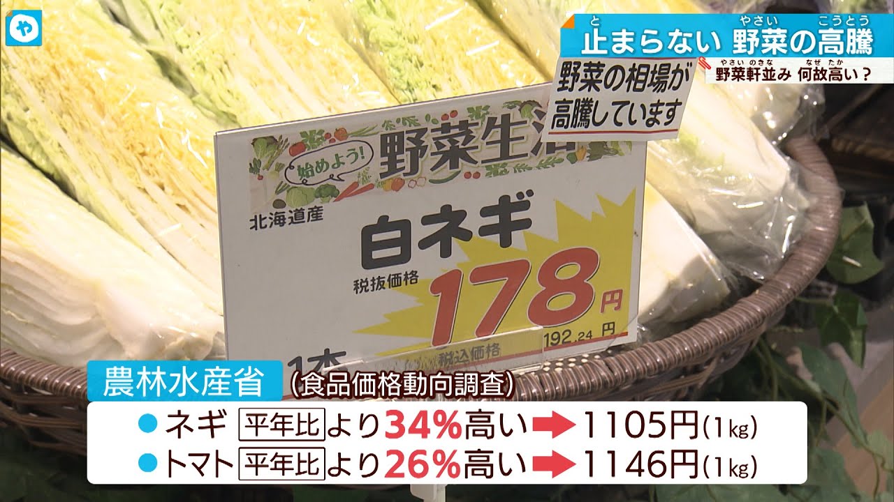 【赤字覚悟】キュウリ1本98円！止まらない野菜の価格高騰　 食卓はどうなる？
